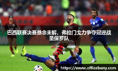 雷火竞技官方网站